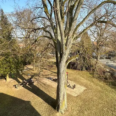 Apartament Parkblick